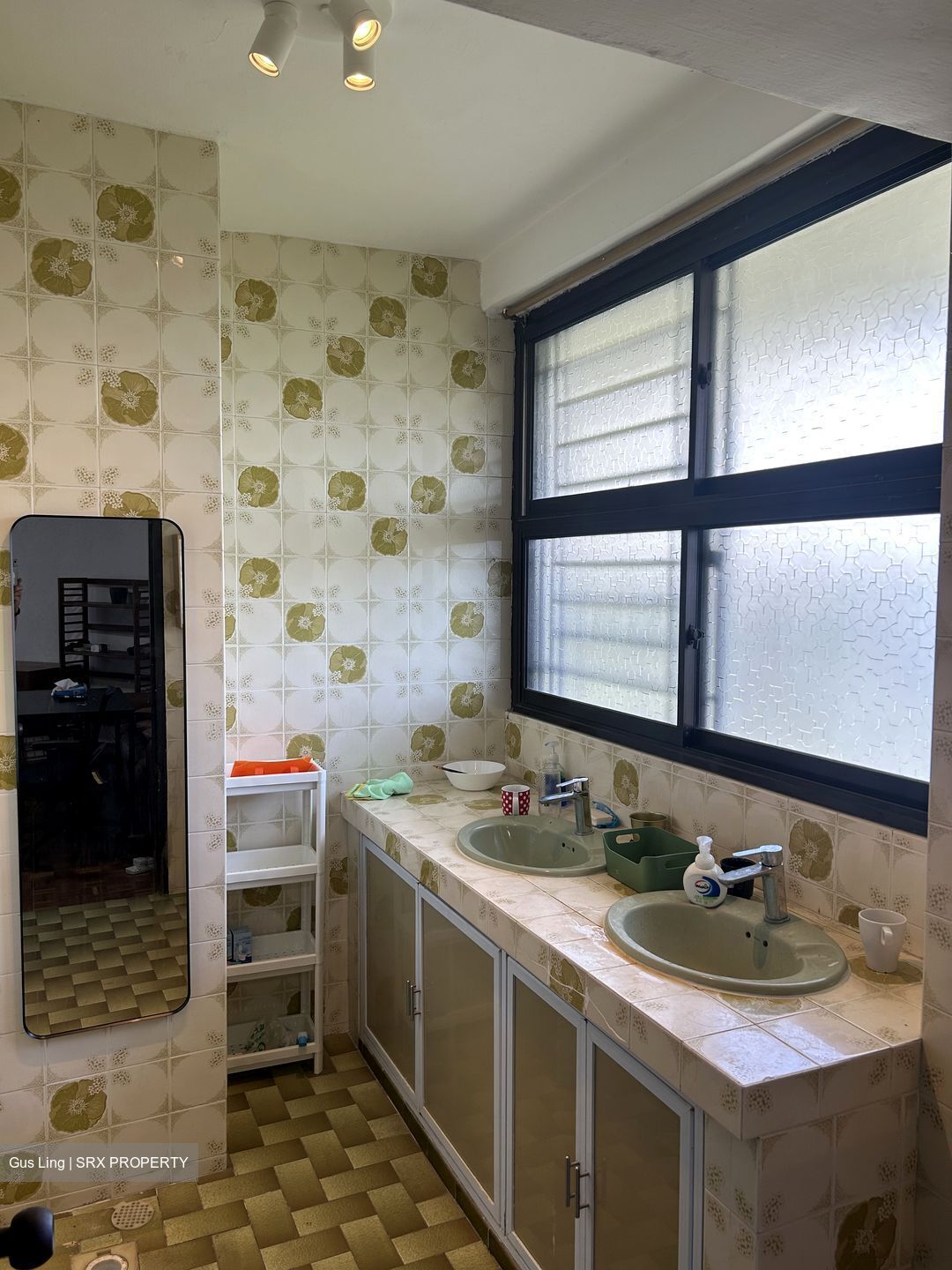 Lakeside Tower (D22), Apartment #448958181